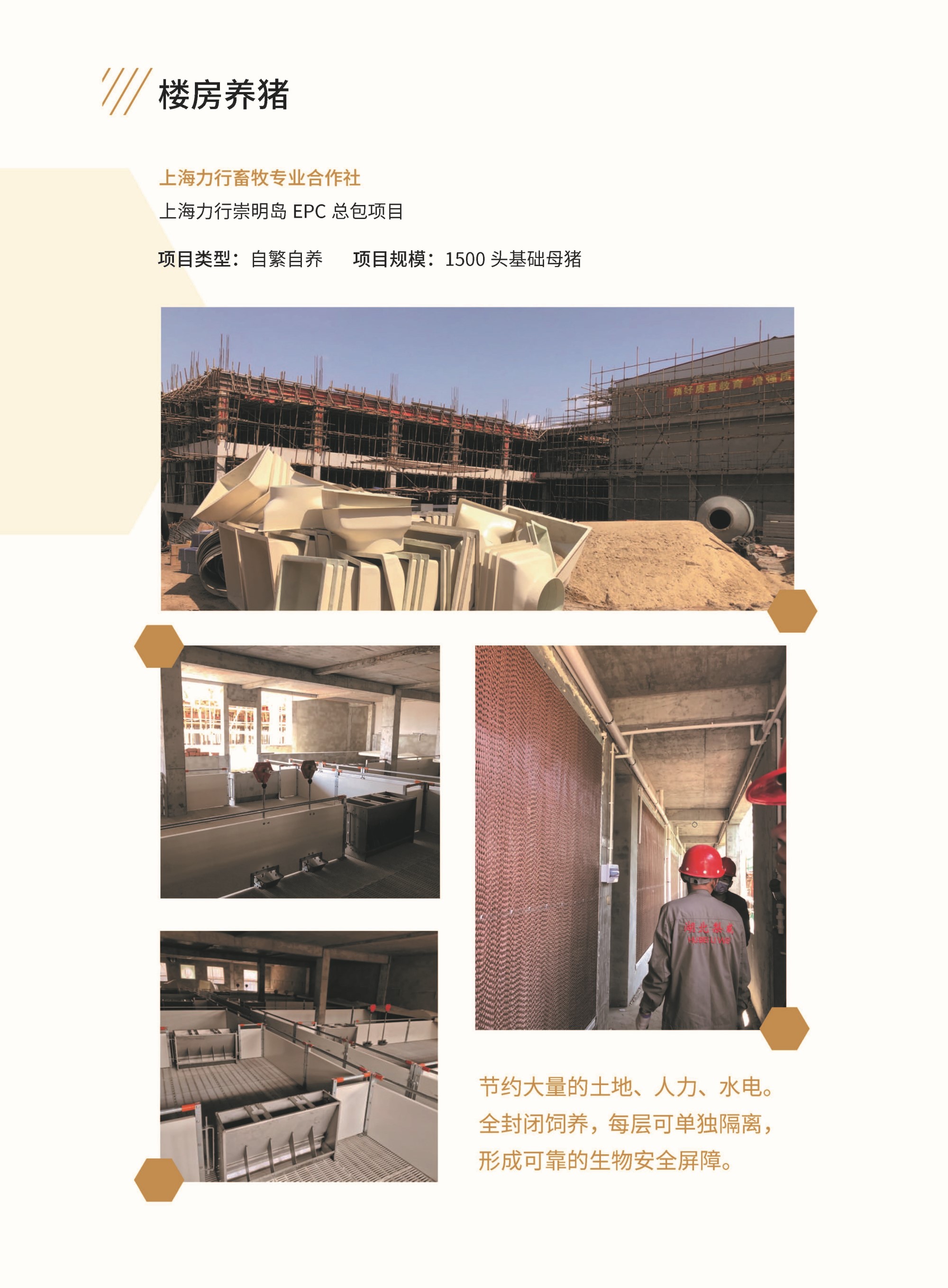 崇明1 崇明1